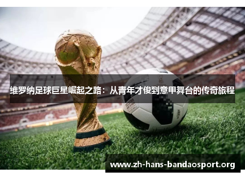 维罗纳足球巨星崛起之路：从青年才俊到意甲舞台的传奇旅程