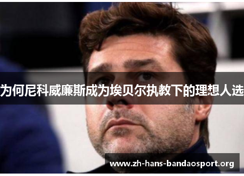 为何尼科威廉斯成为埃贝尔执教下的理想人选