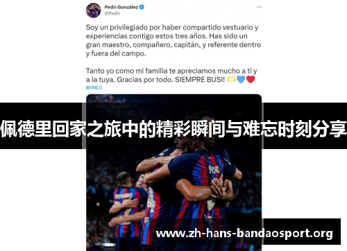 佩德里回家之旅中的精彩瞬间与难忘时刻分享