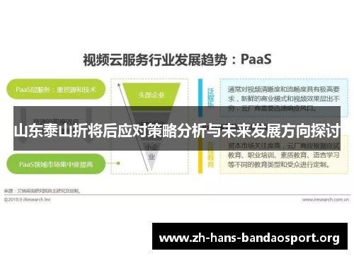 山东泰山折将后应对策略分析与未来发展方向探讨 山东泰山折将后应对策略分析与未来发展方向探讨