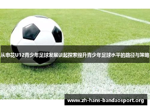 从申花U12青少年足球发展谈起探索提升青少年足球水平的路径与策略