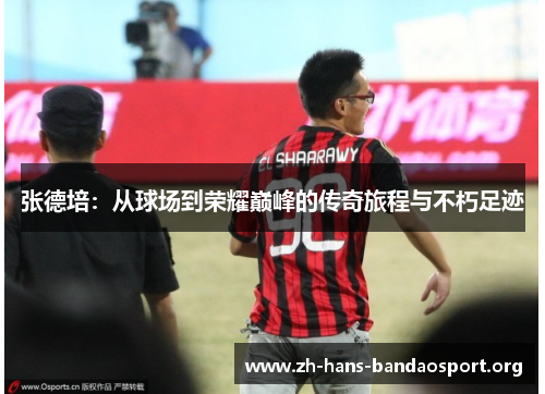 张德培:从球场到荣耀巅峰的传奇旅程与不朽足迹 张德培:从球场到荣耀巅峰的传奇旅程与不朽足迹