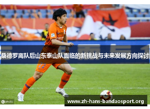 桑德罗离队后山东泰山队面临的新挑战与未来发展方向探讨 桑德罗离队后山东泰山队面临的新挑战与未来发展方向探讨