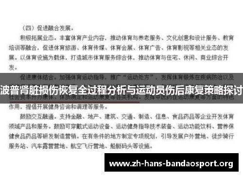 波普肾脏损伤恢复全过程分析与运动员伤后康复策略探讨 波普肾脏损伤恢复全过程分析与运动员伤后康复策略探讨