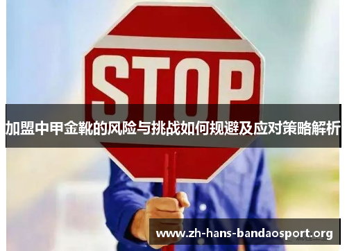 加盟中甲金靴的风险与挑战如何规避及应对策略解析 加盟中甲金靴的风险与挑战如何规避及应对策略解析
