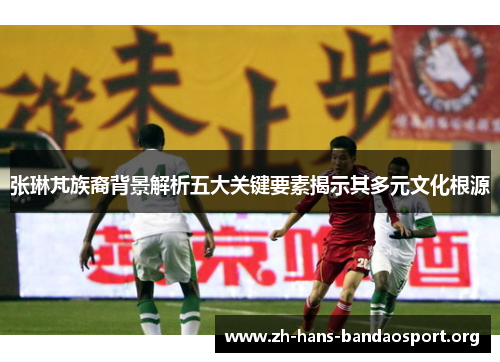 张琳芃族裔背景解析五大关键要素揭示其多元文化根源 张琳芃族裔背景解析五大关键要素揭示其多元文化根源