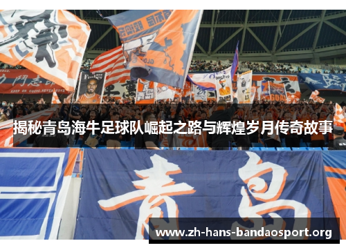 揭秘青岛海牛足球队崛起之路与辉煌岁月传奇故事